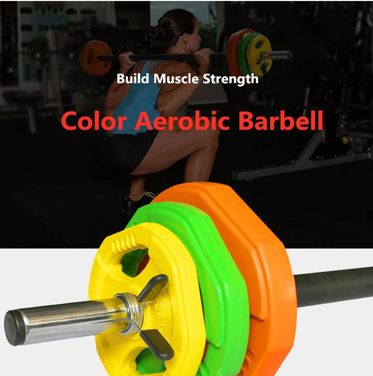 Factory Wholesale Fitness Sports Exercise Weight Plate Weight Lifting 20kg Color Adjustable Barbell Set