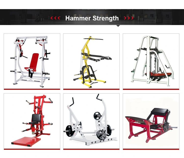 Dh-02 Plate Loaded Strength Equipment Glute Drive Barbell Hip Thrust Gym Fitness Glute Bridge Machine