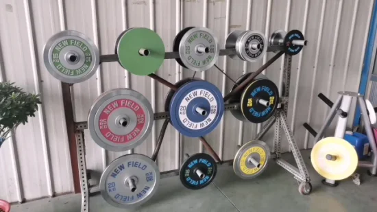 OEM Custom Logo Powerlifting Debossed Logo Hard Chromed 0.25-25kg +-10g Metal Barbell Plate Set for Home Gym