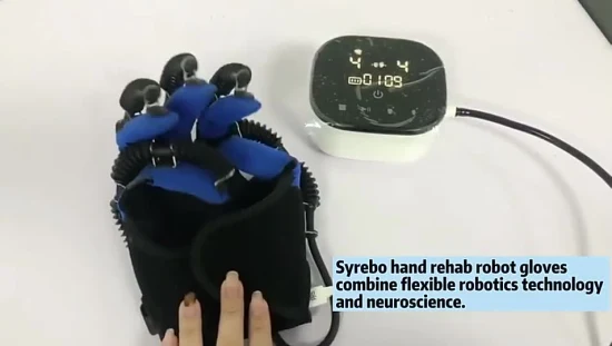 Rehabilitation Spinal Cord Injury Peripheral Nerve Injury Motor Dysfunction Equipment