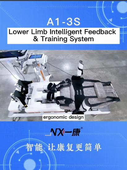 Physiotherapy Equipment Lower Limb Paralyzed Medical Rehabilitation Equipment