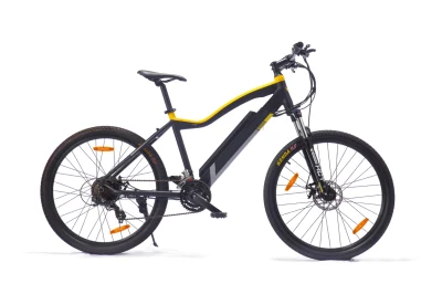 High Power Electric Mountain Bike with Pedal Assist System and Thumb Throttle